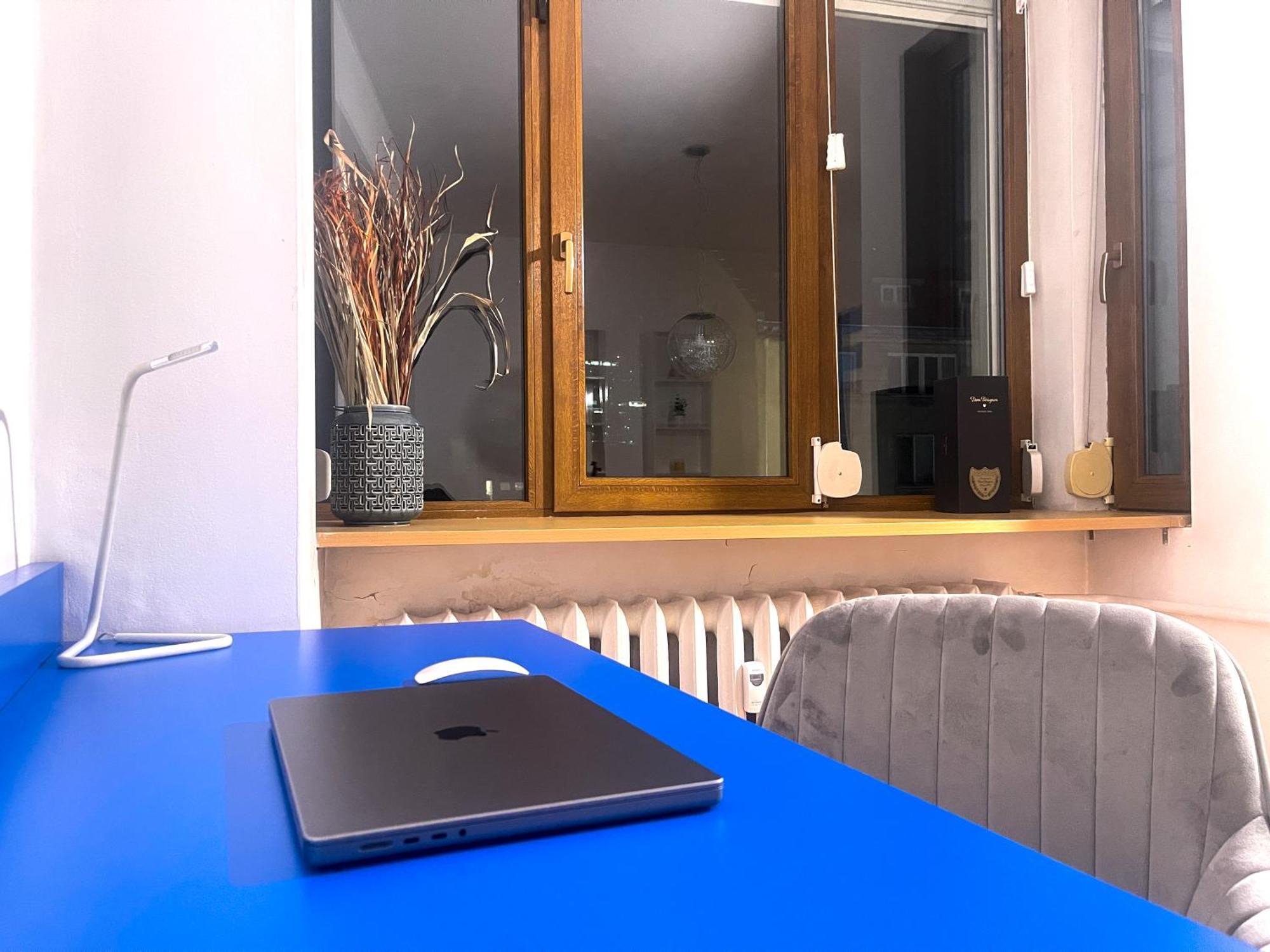 Spacious Flat On Sofia's Main Street Appartement